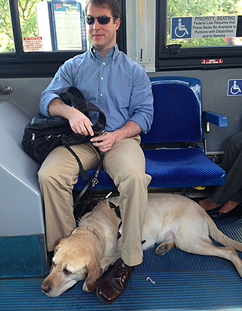Galahad and Pat on a bus heading to the pawffice. Pat is sitting on the blue bus seats and Galahad is lying underneath him with his head between Pat's feet.