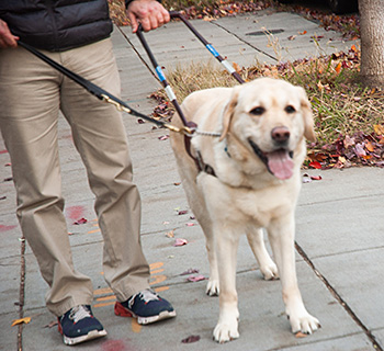 Standing on a Capitol Hill sidewalk, Pat and Hogan pause, waiting for the students to catch up. Pat is seen from the waist down and a working Hogan looks straight ahead. It's a cloudy fall evening.